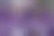 جدول مباريات NFL Network التحضيرية- نجوم جدد ومواجهات مثيرة