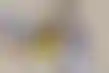 إصابة هاليبورتون تقلق بيسرز في نهائيات الدوري الاميركي للمحترفين