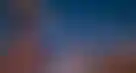 真钱德州:Circa Sports NFL 博彩比赛收官，奖金创新高