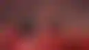 ليفربول و بورنموث- صلاح يسعى لتاريخ جديد في افتتاح الدوري
