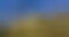 Bestbet Jacksonville 扑克锦标赛盛大回归
