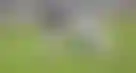 宾夕法尼亚州立大学比赛争议：DraftKings退款事件