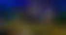 扑克玩家Jans Arends在越南Triton赛事中夺冠