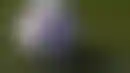 FanDuel与MLB达成合作，成为官方博彩合作伙伴