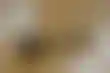 华盛顿州法院驳回体育博彩诉讼，维护部落主权