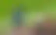 منع مشجع ليفربول من دخول الملاعب بسبب إهانة عنصرية للاعب بورنموث