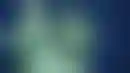 تأخير تراخيص كازينو نيويورك- سباق الشركات الكبرى مستمر
