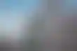 قيصر تدخل سوق المراهنات الرياضية في واشنطن قبل السوبر بول