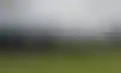 لاعب فولهام غاضب من انتقادات ميرفي- "أريد التحدث معك!"