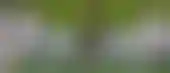 الاتحاد يتلقى خسارته الثالثة ودياً رغم ثنائية بنزيما أمام فولهام
