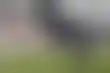 جيريمي مونغا يقتنص لقب أصغر هداف من بيلينغهام