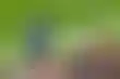 الشرطة تعتقل رجلاً بتهمة الإساءة العنصرية للاعب سيمنيو في أنفيلد