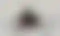 زيون ويليامسون- من الأردن 1 إلى حذائه المميز الخاص