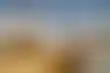 القصيم- كرنفال التمور ينعش الاقتصاد ويحافظ على الموروث