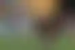 الهلال يبهر العالم في المونديال بدون إنفاق- إشادة أسطورة البرازيل بيبي
