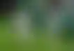 ريال مدريد يتصدر قائمة مكافآت مونديال الأندية 2025.. أرقام مذهلة!