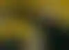 دوري روشن- تقلبات المدربين ورواتب النجوم في صدارة المشهد