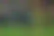 كاواساكي يفوز على النصر بعقليته لا بأمواله- تصريح مثير من بيونغ جون آن