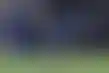 باربيكان شريكاً إقليمياً لدوري أبطال آسيا- شراكة تجمع الشغف والوحدة