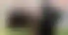 سندرز و معضلة كليفلاند- هل ينجح مشروع QB الجديد؟