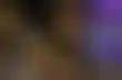 瓦妮莎·塞尔斯特谈美国政治:回音室与恐惧