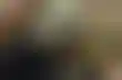 每日扑克新闻:艾维的反击,哈伯的酷朋友,珀金斯慷慨解囊