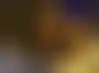 真人德州扑克在线:芬兰小姐萨拉·沙法克：选美皇后的扑克梦