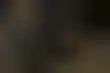 德州扑克app iOS:奥尔蒂斯谈琼斯可卡因检测及备战经验