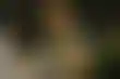 注册送金:马克思·西尔弗访谈：扑克生涯与人生感悟
