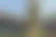 كأس إيطاليا- ميلان ضد ليتشي ومباريات الدور الثاني المثيرة