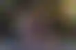 فيليب هيلم- من خسارة لاس فيغاس إلى حلم العودة للفوز باللقب