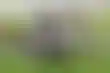 نهائي كأس الأبطال- الهند تسعى للقب بلا يأس