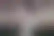 جو روت يقود إنجلترا بصمود في مواجهة الهند في لوردز