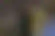 فوز LAFC المثير يمنحهم مقعدًا في كأس العالم للأندية