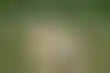 أستراليا تهزم الهند بفوز دراماتيكي وتتصدّر السلسلة قبل النهائي