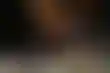 扑克黑客与赚钱一个俄罗斯博主的经历