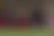 ريال مدريد يتصدر المجموعة- أداء فينيسيوس وخطة ألونسو الجديدة تتألق