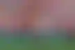 هل يمكن أن يكون غونزالو غارسيا مهاجم ريال مدريد القادم؟
