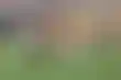 برشلونة تراقب نيكولاس جاكسون كبديل محتمل لليفاندوفسكي