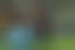 تنوع اللاعبين- حل برشلونة للتحديات والتطور المستقبلي