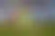 برشلونة تحدد 4 ملايين يورو لبيع عقد فيرجيلي إلى مايوركا
