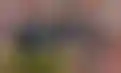 فيFederico Chiesa يقرر البقاء والقتال من أجل مكانه في ليفربول