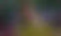 ريال مدريد يستهدف آدم وارتون- صراع مع الكبار على نجم كريستال بالاس