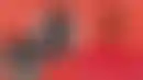 نيوكاسل يسامح إيزاك بعد انتقاله إلى ليفربول