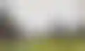 نيوكاسل يلاحق ويسا لتعزيز الهجوم قبل صفقة إيزاك المحتملة