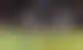 جوش براونهيل يفضل المال السعودي على ليدز يونايتد