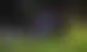 فوز مثير لفرنسا على أيسلندا بقيادة مبابي في تصفيات كأس العالم