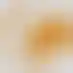 Solve For Why：高额赌注扑克VLOG发布
