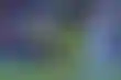 الزمالك ينفي تواصل رونالدو للاستثمار- لا مفاوضات رسمية أو ودية