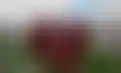مكينا وويست هام- شائعات تدريب غير مرجحة في ظل الفوضى